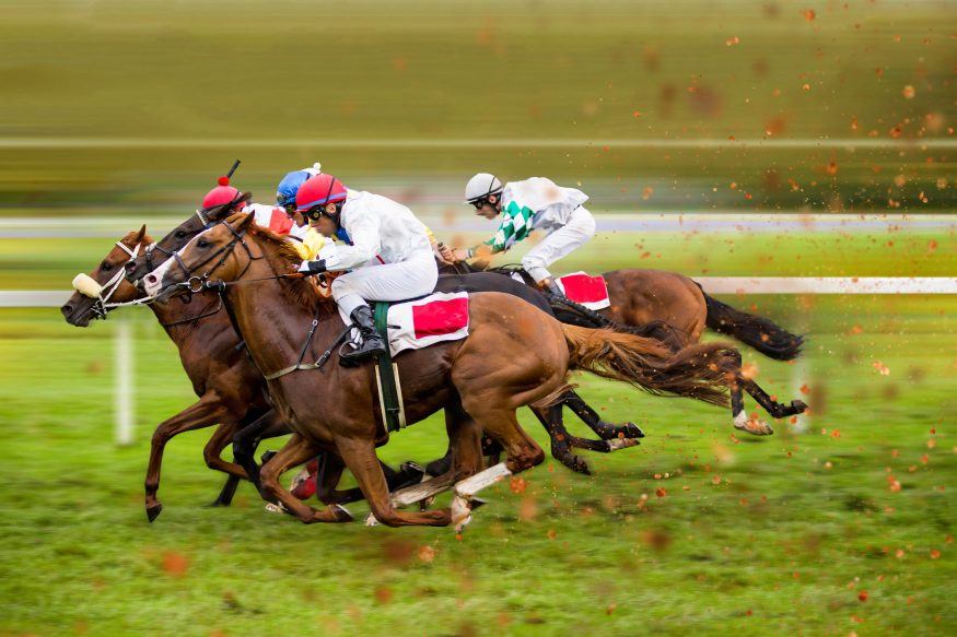 How to Bet on a Live Horse Race